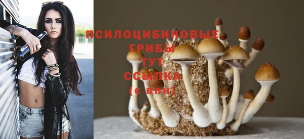 ешки Верхнеуральск
