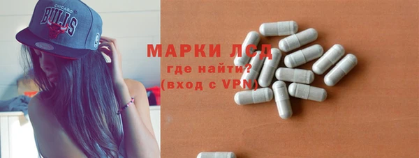 гашик Верея