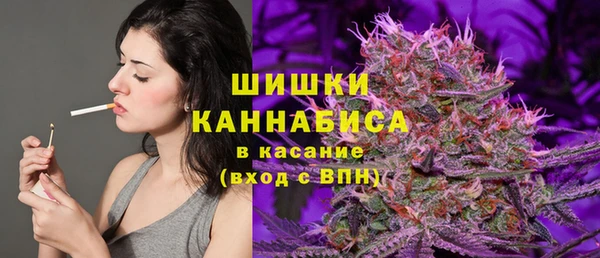 гидропоника Бородино