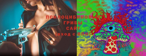 гашик Верея
