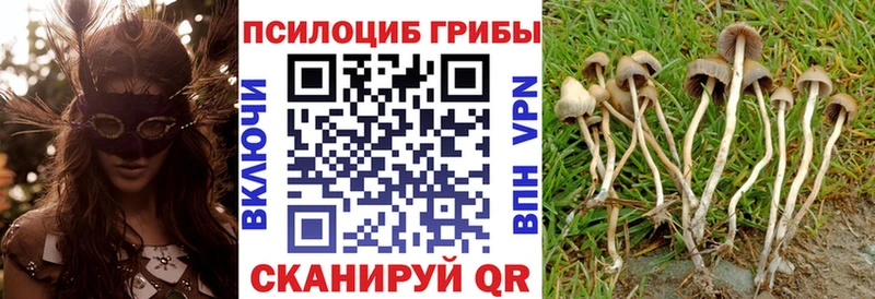 Псилоцибиновые грибы GOLDEN TEACHER  Пермь 